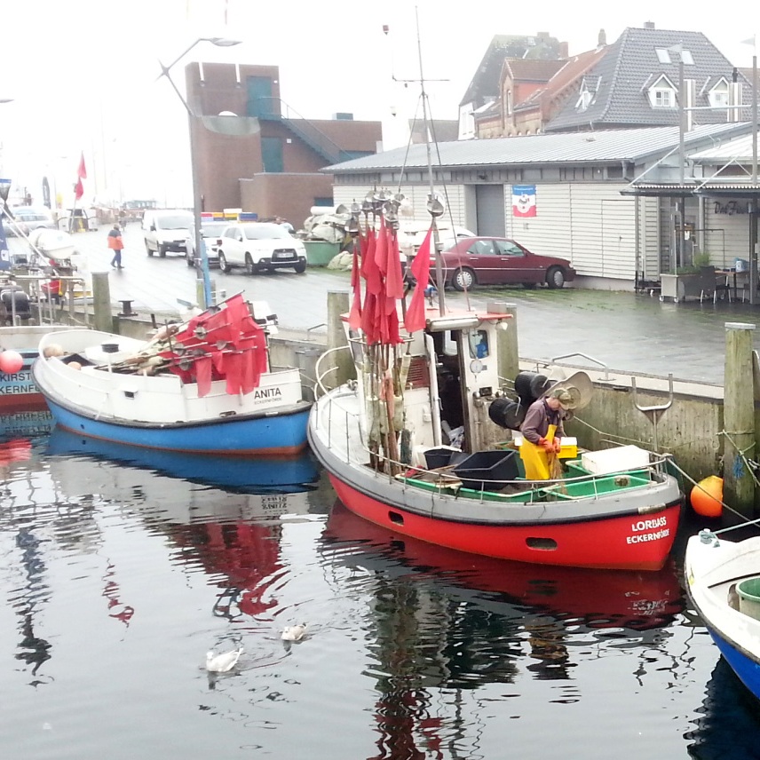 Fischer im Hafen von Eckernfoerde